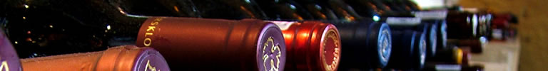 Wine Bottles